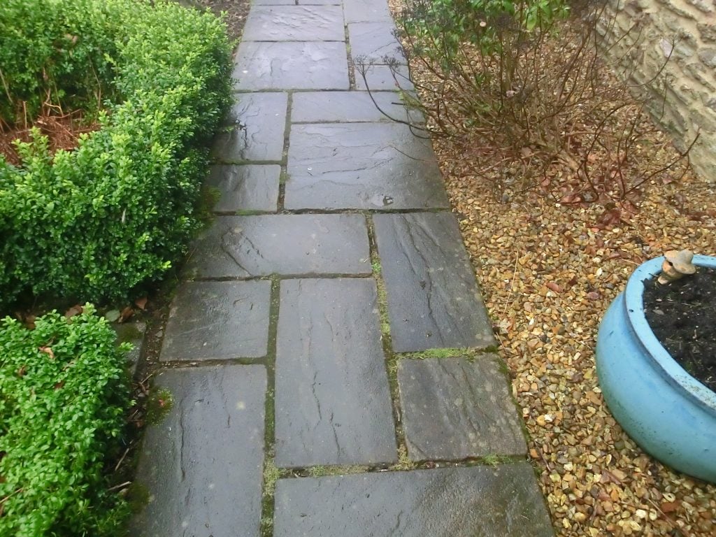 garden paths
