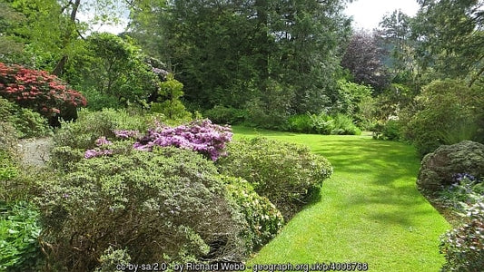 lawns Arduaine gardens