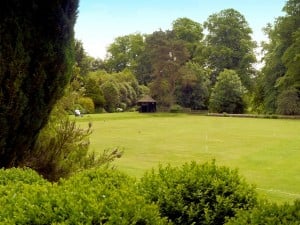 Lawn