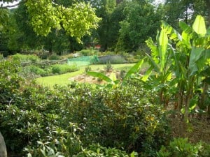 Teaching Children to Garden: 10 Things to do to Get Kids Gardening