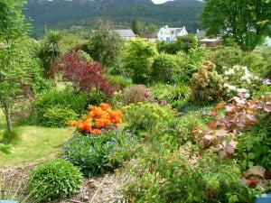 One of many beautiful gardens in Plockton, Ross and Cromarty. Garden compost