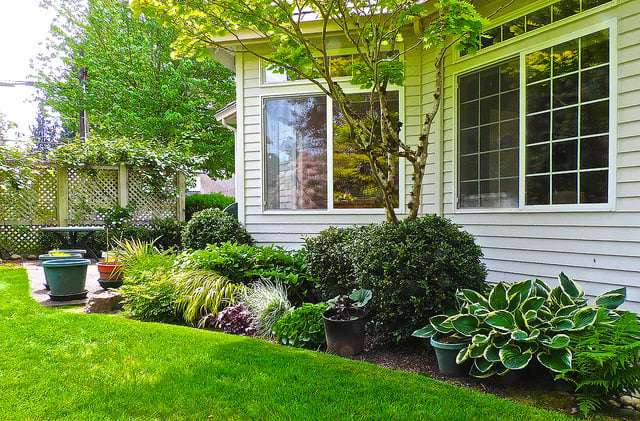 Back garden near Seattle. Extension