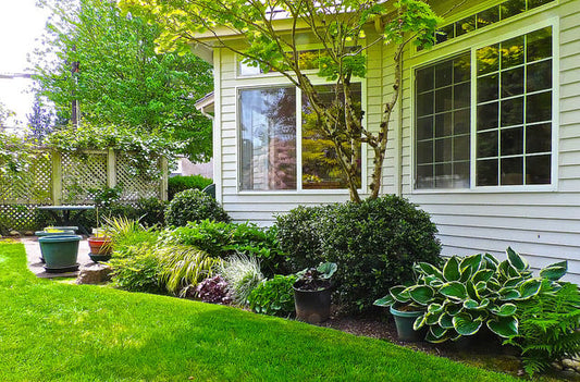 Back garden near Seattle. Extension