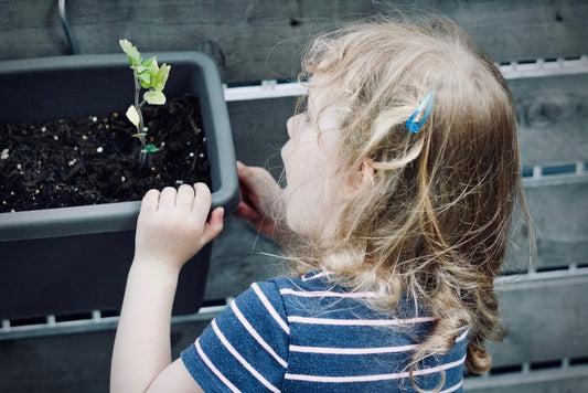 Gardening Through The Lockdown