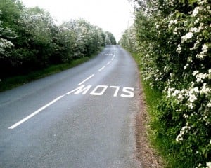 May (hawthorn) blossom lining the hedgerows at Hodge Lane, Hartford Junction, Cheshire. Take softwood cuttings at this time of year.