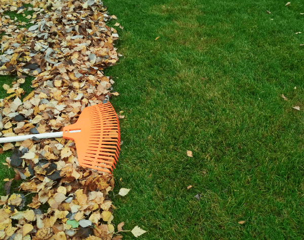 Easy and Affordable Spring Makeovers for Your Outdoor Space