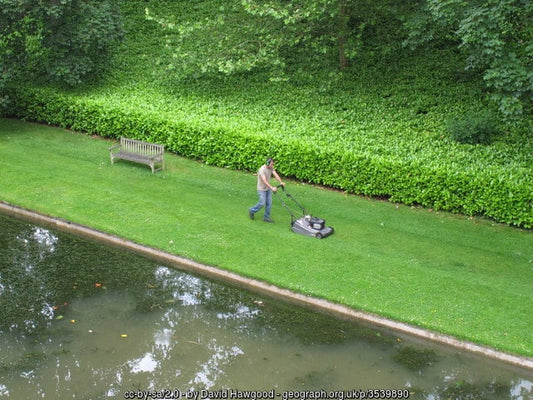 lawns