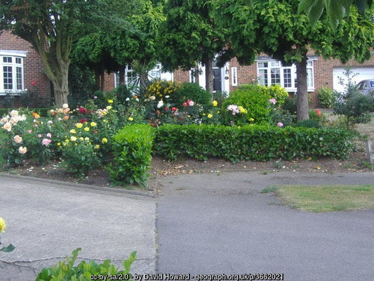 plants that suit your garden
