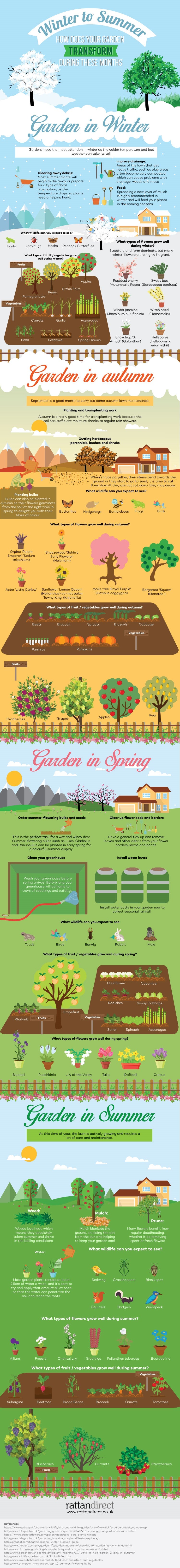 Winter to Summer (Info-graphic)