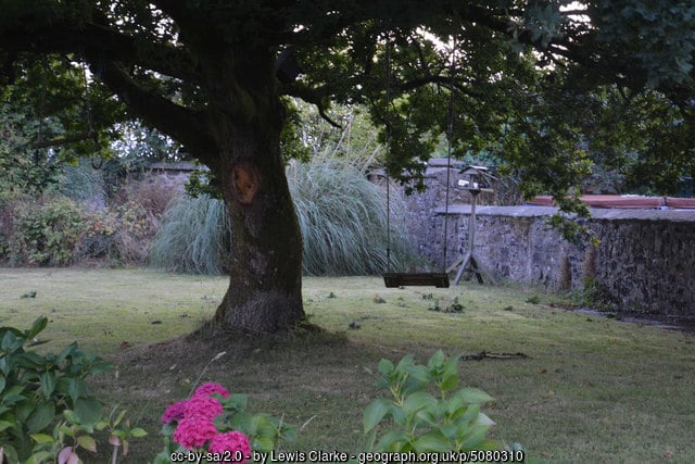 Dream garden