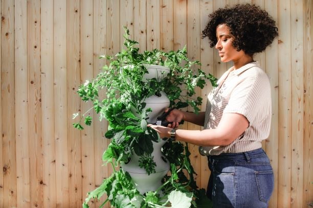 UK Gardening Statistics