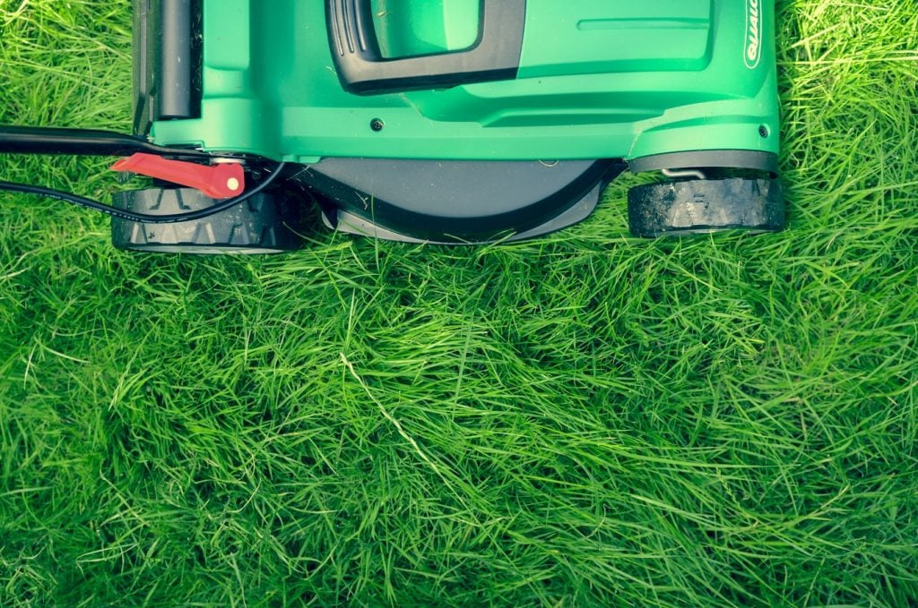 How To Get Your Garden Ready For Visitors After Lockdown