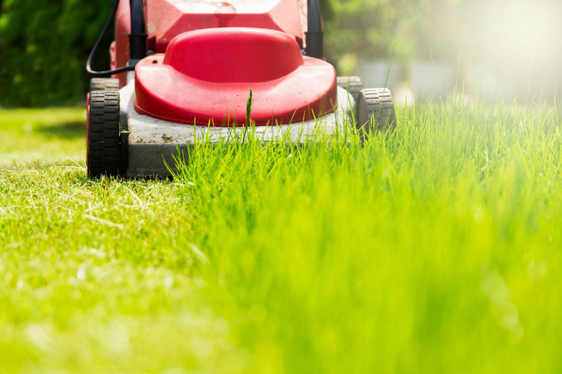 Preparing Your Garden For Autumn