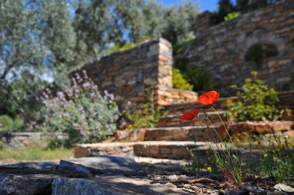 stone stairs to a garden