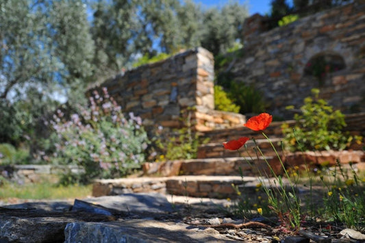 stone stairs to a garden