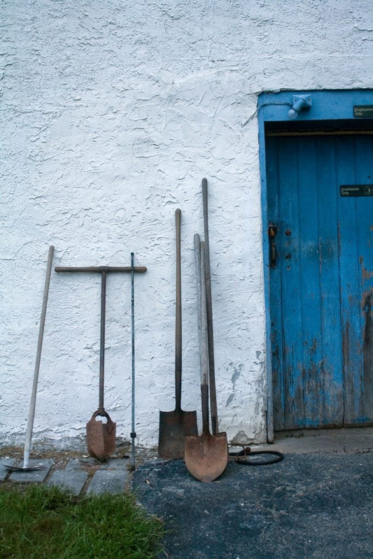 10 Ways to prepare your garden for summer