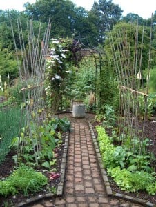 Gorgeous gardens and gorgeous vegetables