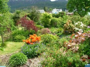 One of many beautiful gardens in Plockton, Ross and Cromarty. Garden compost