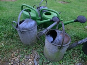 Water hanging baskets