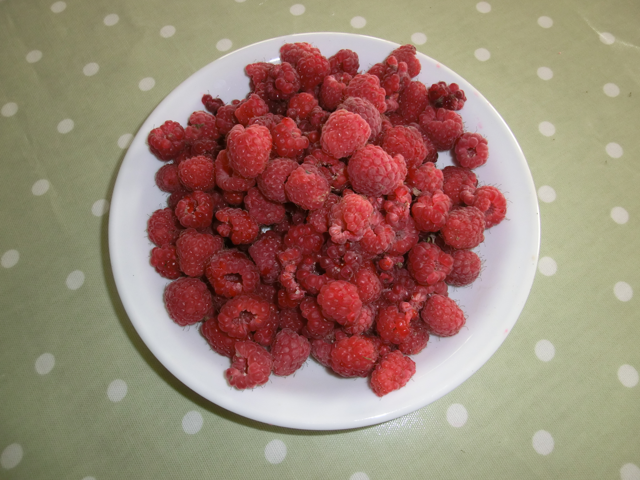 Raspberries rule from summer to winter!