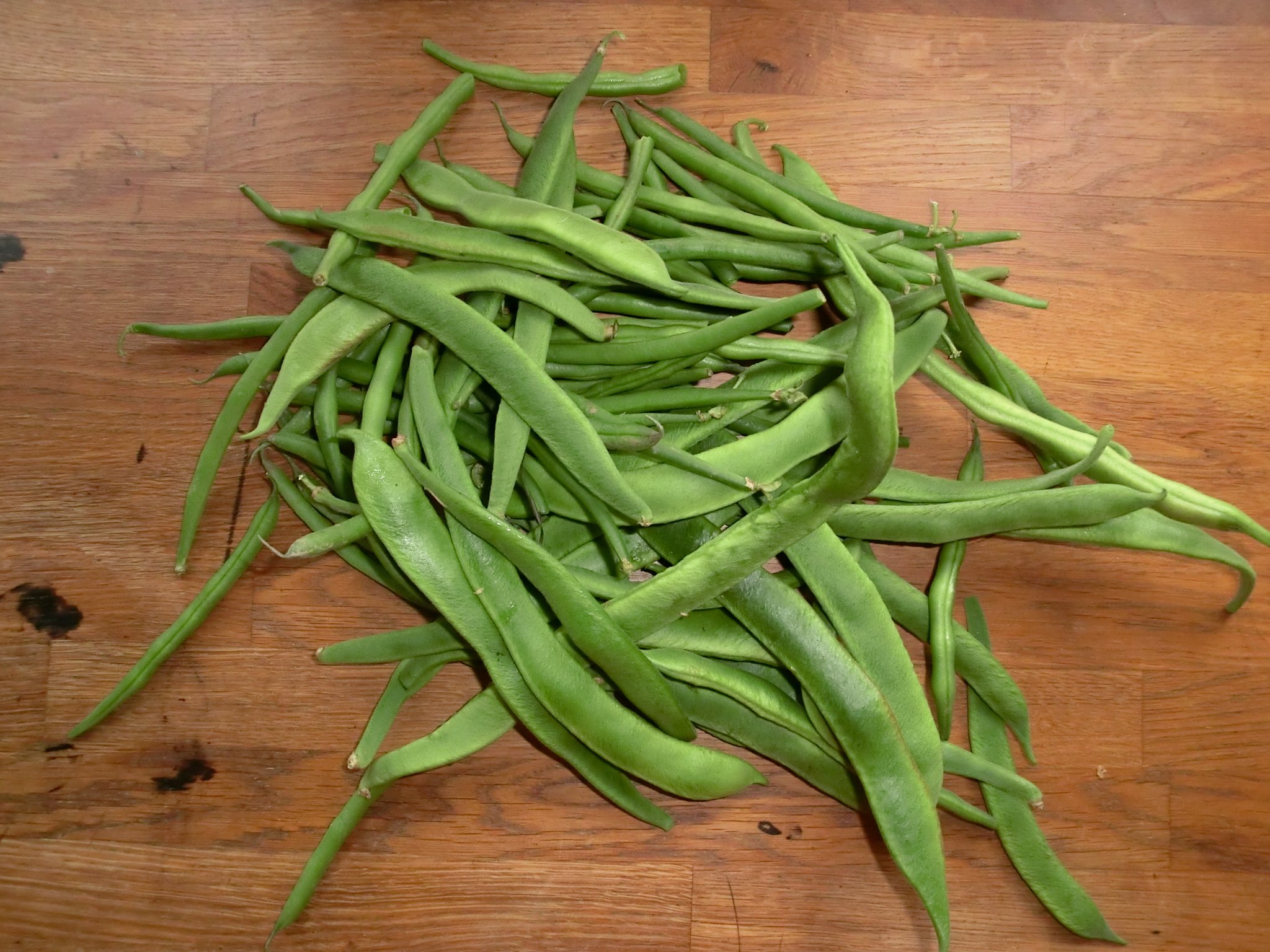 Runner bean glut? A few suggestions about what you can do