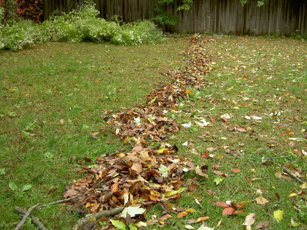 garden leaves