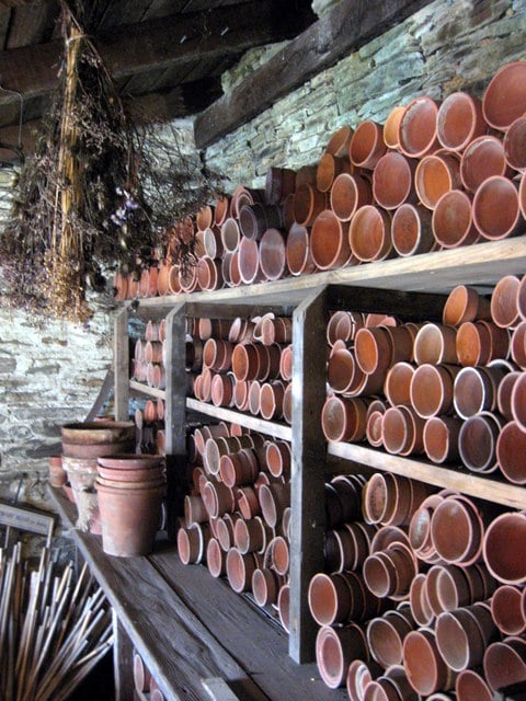 Interior of the potting shed in the Melon Garden, Heligan, Cornwall. Rooted cuttings. Plant pots