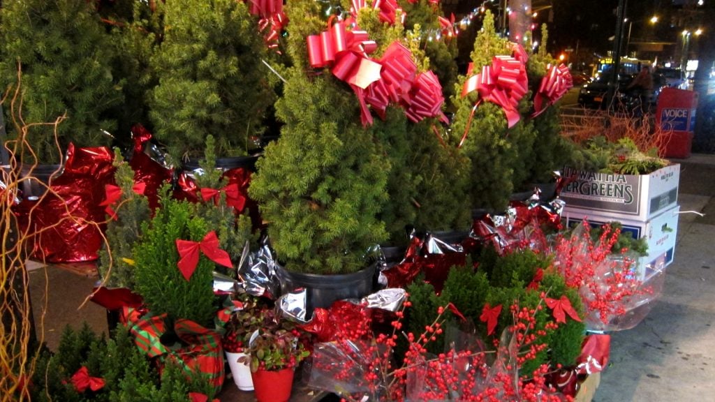 Village Farm Grocery, 2nd Ave at 9th St, East Village, New York City. Festive plant pots