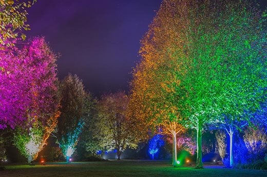 Light in the garden makes more of dark winter days