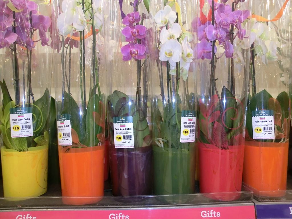 Plants for health