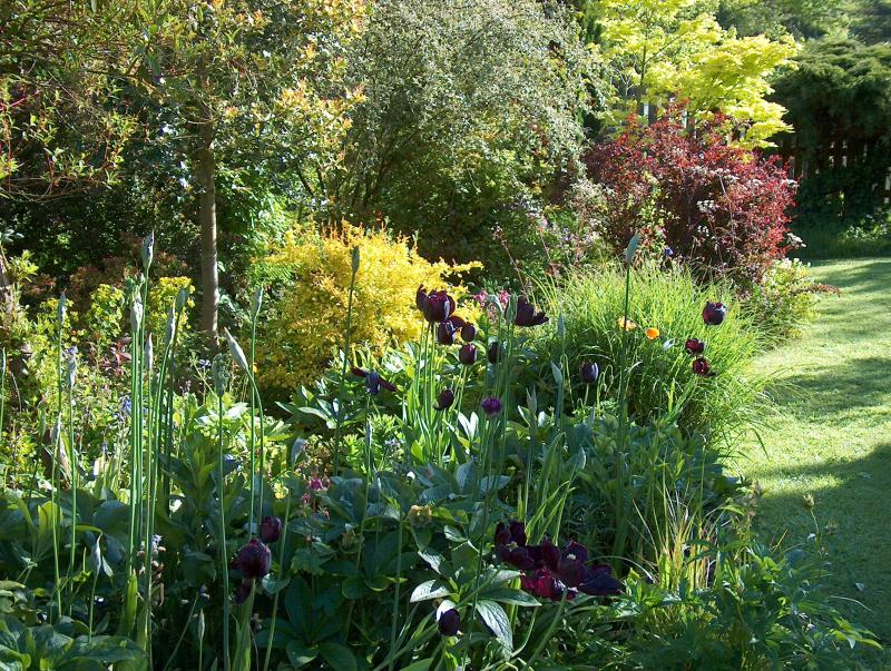 Plan your dream garden