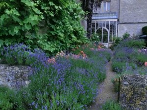 Patience pays off in the long term when it comes to gardening