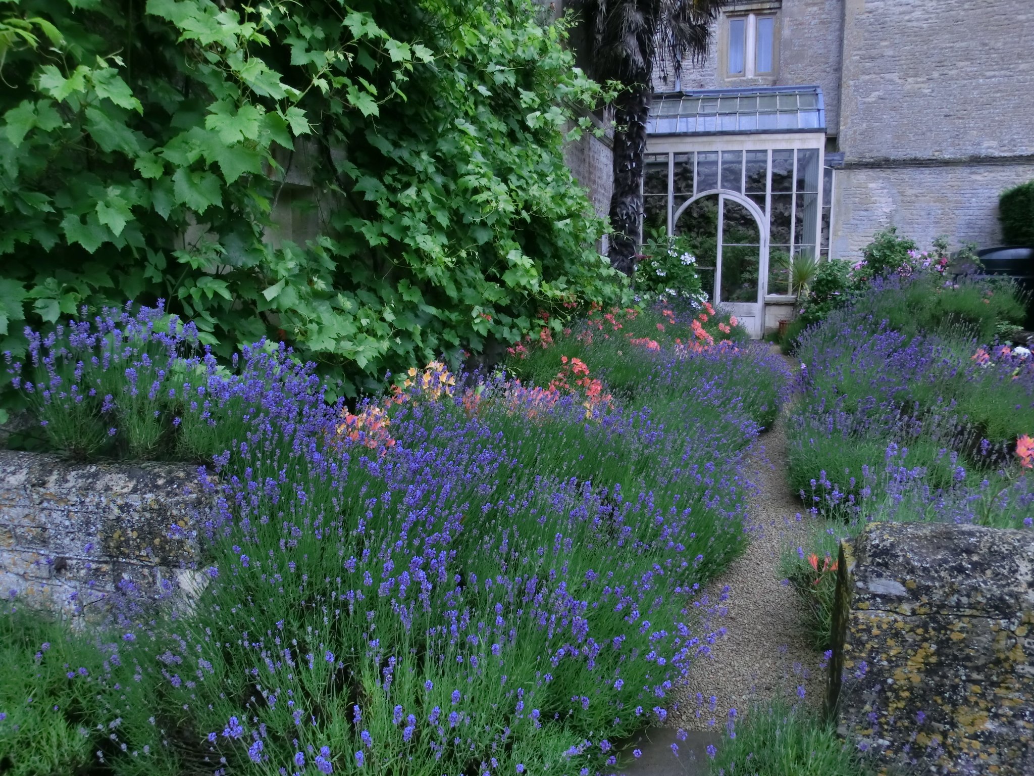 Patience pays off in the long term when it comes to gardening