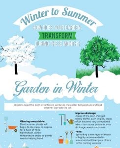 How Your Garden Transforms Through the Seasons (Infographic)