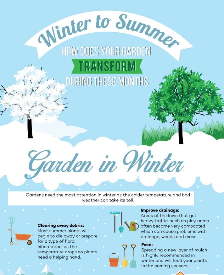 Why Winter Is a Smart Time to Garden