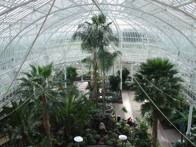 The Winter Gardens at the rear of the People's Palace museum in Glasgow Green.