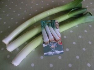 Leeks and daffodils - grow your own to celebrate St David's Day