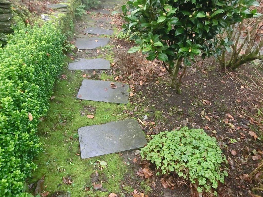 garden paths 
