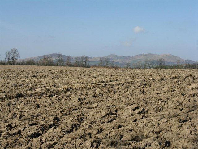 Heavy clay soil at Newbigging, Midlothian.