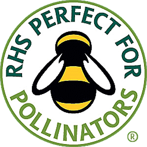 Bees - support them and send information to a national study