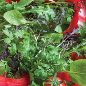 Salad leaves – plant and sow now to enjoy all summer