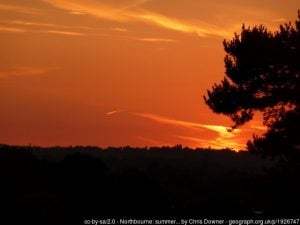 The longest day in your garden - enjoy it!