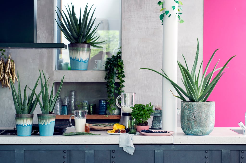 Bring the outdoors in: how to make a room feel more like a garden