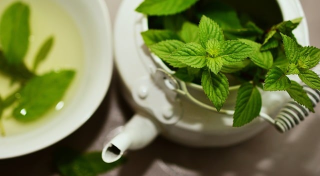 Grow your own herbal tea garden for fresher and tastier brews