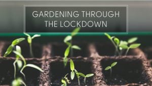 Gardening Through The Lockdown