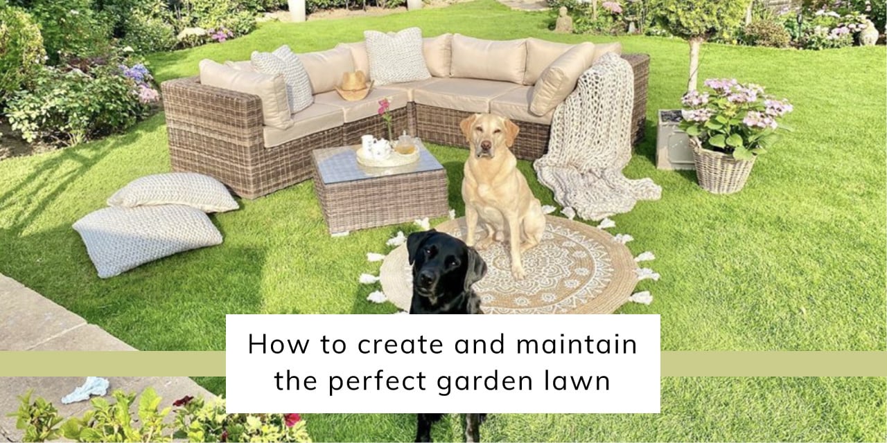How To Create And Maintain The Perfect Garden Lawn