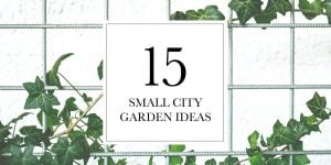 15 Small City Garden Ideas