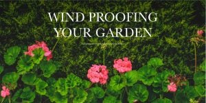 Wind Proofing Your Garden