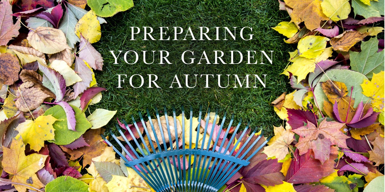 Preparing Your Garden For Autumn