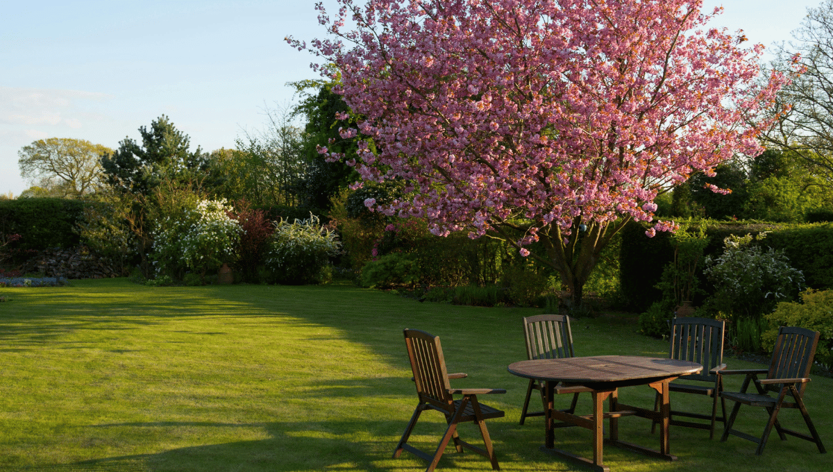 Easy and Affordable Spring Makeovers for Your Outdoor Space 